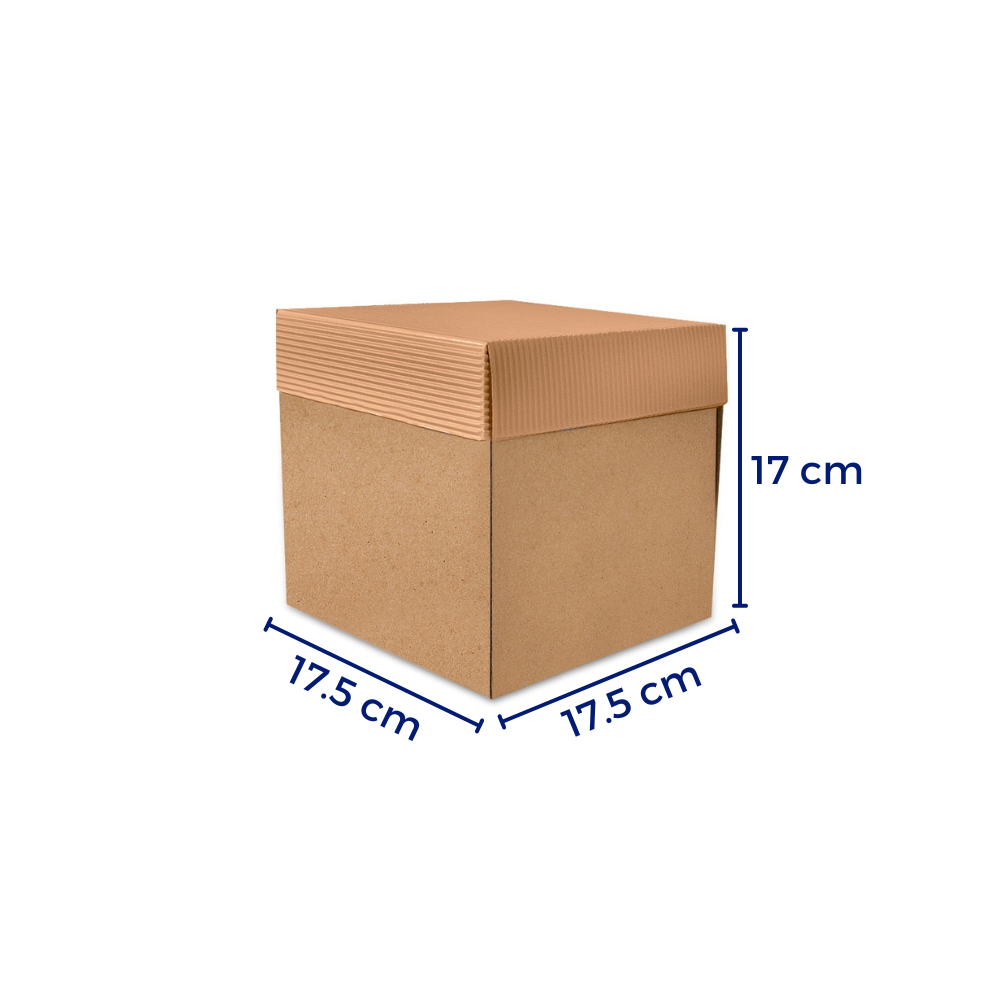 25 Cajas De Cartón Single Face P/Regalo #2 Color Kraft – Lemur Cajas y  Empaques S. A. de C. V.